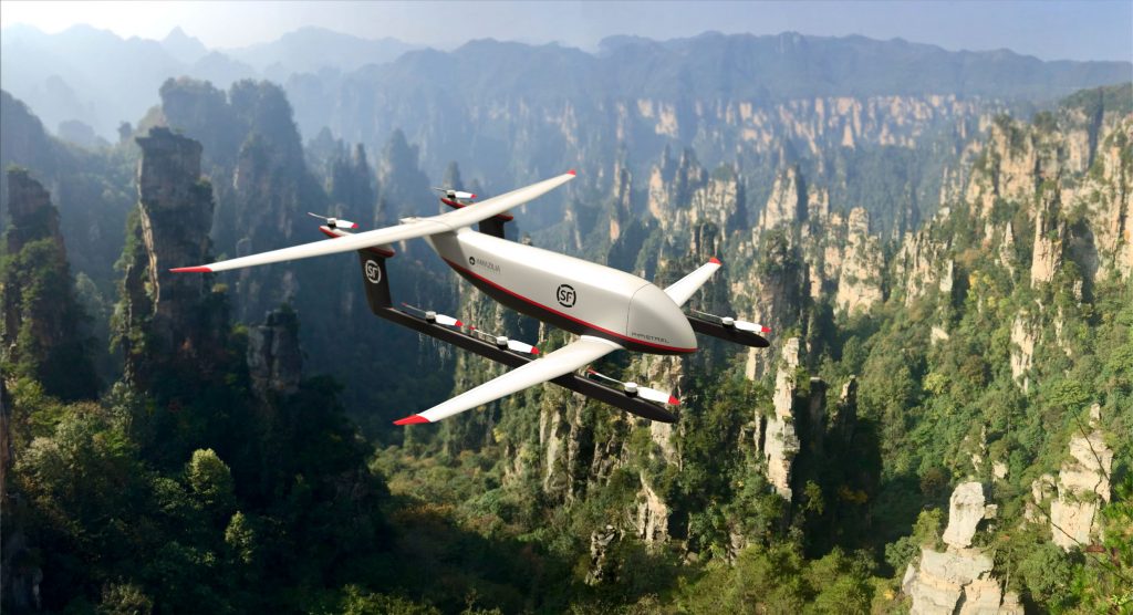 Cargo VTOL Pipistrel - SF